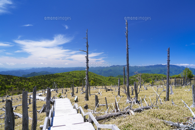大台ヶ原
(c)YOSHITSUGU NISHIGAKI/SEBUN PHOTO
