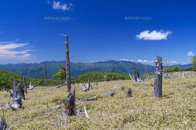 大台ヶ原
(c)YOSHITSUGU NISHIGAKI/SEBUN PHOTO