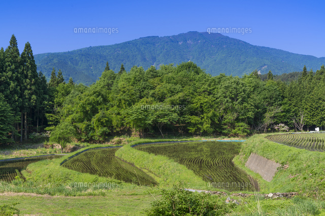別宮の棚田と氷ノ山
(c)YOSHITSUGU NISHIGAKI/SEBUN PHOTO