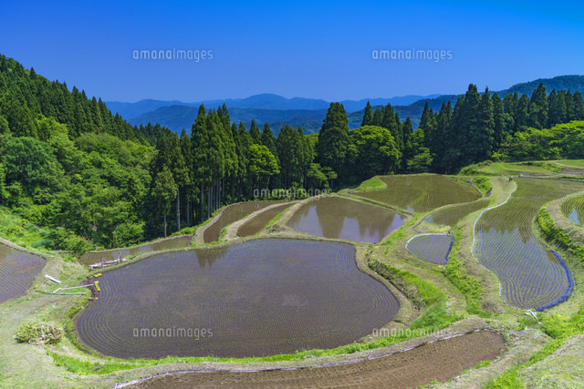 うへ山の棚田
(c)YOSHITSUGU NISHIGAKI/SEBUN PHOTO