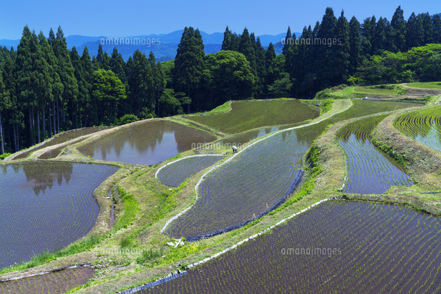 うへ山の棚田
(c)YOSHITSUGU NISHIGAKI/SEBUN PHOTO