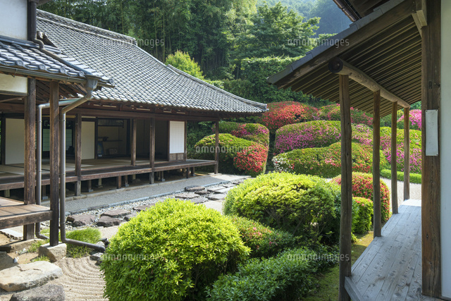 サツキ咲く頼久寺
(c)YOSHITSUGU NISHIGAKI/SEBUN PHOTO