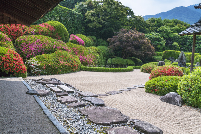 サツキ咲く頼久寺
(c)YOSHITSUGU NISHIGAKI/SEBUN PHOTO