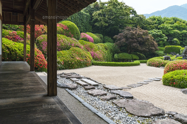 サツキ咲く頼久寺
(c)YOSHITSUGU NISHIGAKI/SEBUN PHOTO