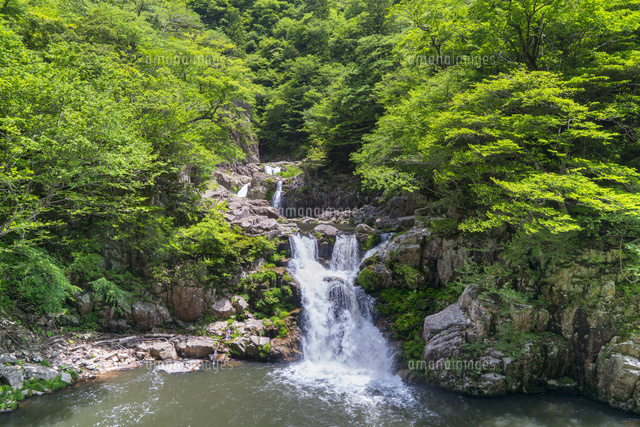 三段峡
(c)YOSHITSUGU NISHIGAKI/SEBUN PHOTO