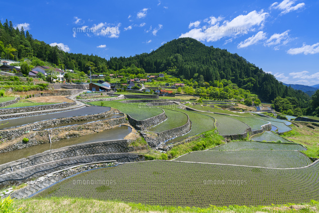 井仁の棚田
(c)YOSHITSUGU NISHIGAKI/SEBUN PHOTO
