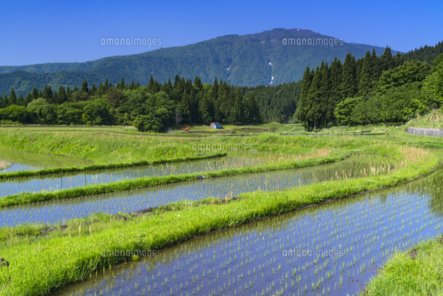 別宮の棚田と氷ノ山
(c)YOSHITSUGU NISHIGAKI/SEBUN PHOTO