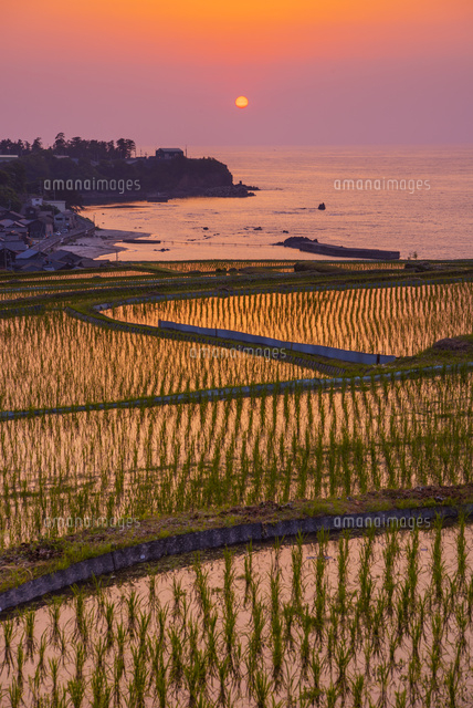 柚志の棚田夕景
(c)YOSHITSUGU NISHIGAKI/SEBUN PHOTO