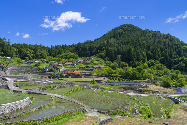 井仁の棚田
(c)YOSHITSUGU NISHIGAKI/SEBUN PHOTO