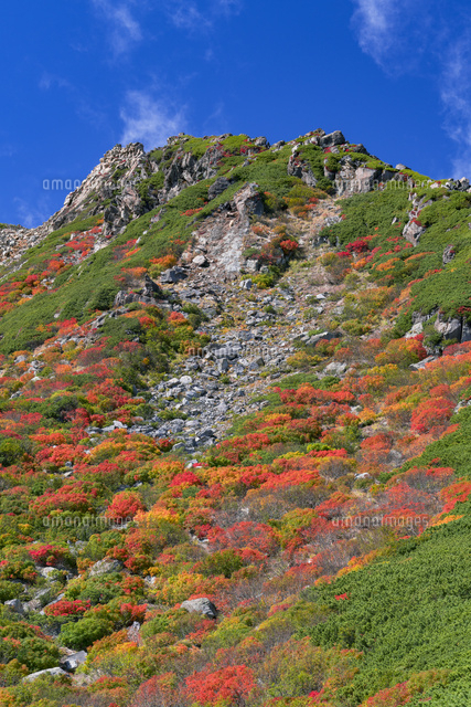 秋の御岳山
(c)YOSHITSUGU NISHIGAKI/SEBUN PHOTO