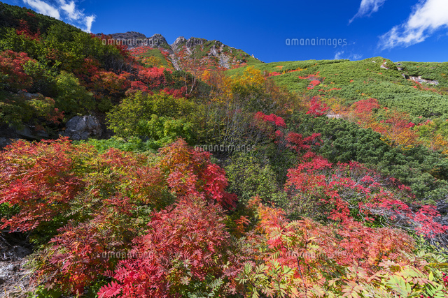 秋の御岳山
(c)YOSHITSUGU NISHIGAKI/SEBUN PHOTO