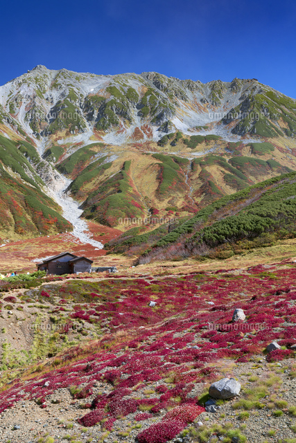 秋の雷鳥平より立山連峰
(c)YOSHITSUGU NISHIGAKI/SEBUN PHOTO
