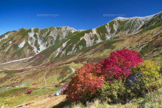 秋の室堂平より立山連峰
(c)YOSHITSUGU NISHIGAKI/SEBUN PHOTO