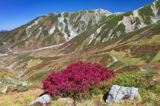 秋の室堂平より立山連峰
(c)YOSHITSUGU NISHIGAKI/SEBUN PHOTO