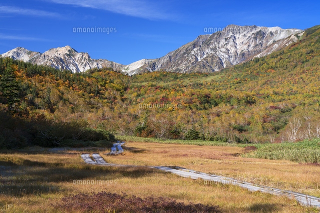 秋の栂池自然園より白馬三山
(c)YOSHITSUGU NISHIGAKI/SEBUN PHOTO