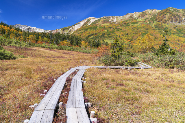 秋の栂池自然園より白馬岳
(c)YOSHITSUGU NISHIGAKI/SEBUN PHOTO