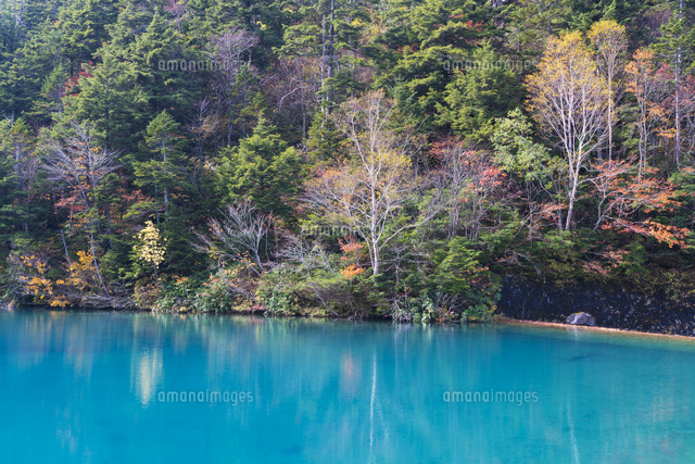 秋の大沼池
(c)YOSHITSUGU NISHIGAKI/SEBUN PHOTO