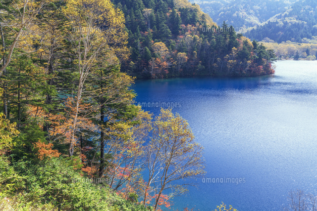 秋の大沼池
(c)YOSHITSUGU NISHIGAKI/SEBUN PHOTO