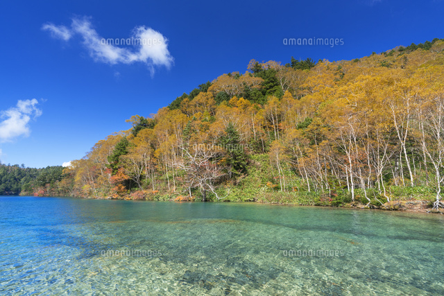 秋の大沼池
(c)YOSHITSUGU NISHIGAKI/SEBUN PHOTO