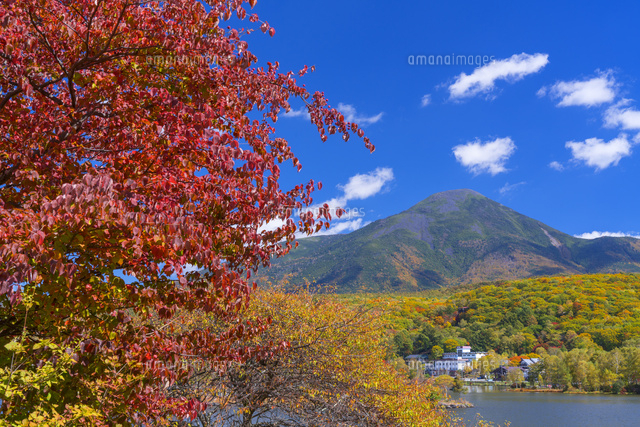 秋の白樺湖と蓼科山
(c)YOSHITSUGU NISHIGAKI/SEBUN PHOTO