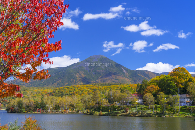 秋の白樺湖と蓼科山
(c)YOSHITSUGU NISHIGAKI/SEBUN PHOTO