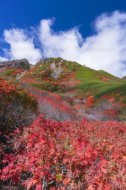 秋の御岳山
(c)YOSHITSUGU NISHIGAKI/SEBUN PHOTO