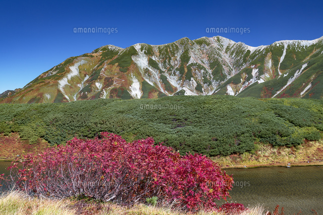 秋のみどりが池と立山連峰
(c)YOSHITSUGU NISHIGAKI/SEBUN PHOTO