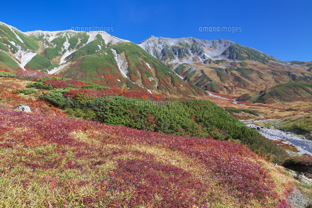 秋の雷鳥平より立山連峰
(c)YOSHITSUGU NISHIGAKI/SEBUN PHOTO
