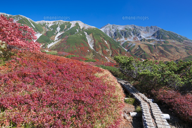 秋の雷鳥平より立山連峰
(c)YOSHITSUGU NISHIGAKI/SEBUN PHOTO