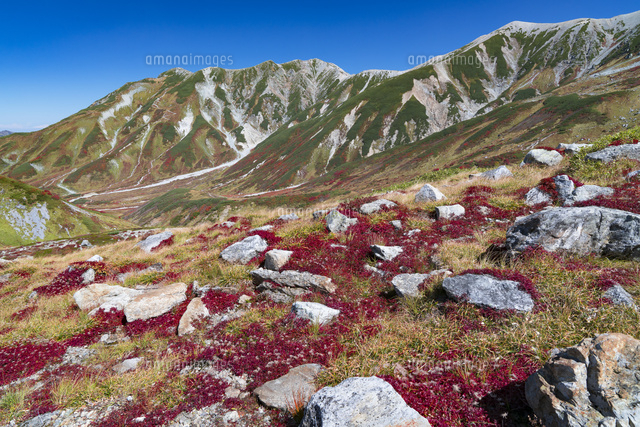 秋の室堂平より立山連峰
(c)YOSHITSUGU NISHIGAKI/SEBUN PHOTO