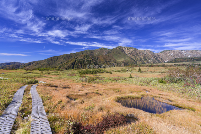 秋の弥陀ヶ原と大日岳
(c)YOSHITSUGU NISHIGAKI/SEBUN PHOTO
