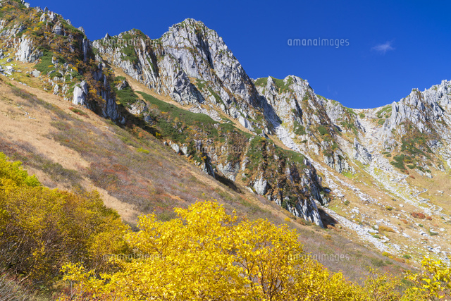 紅葉の千畳敷より宝剣岳
(c)YOSHITSUGU NISHIGAKI/SEBUN PHOTO
