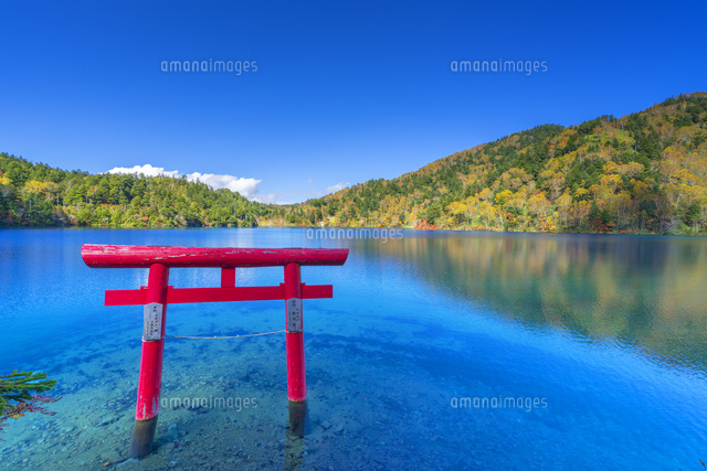 秋の大沼池
(c)YOSHITSUGU NISHIGAKI/SEBUN PHOTO