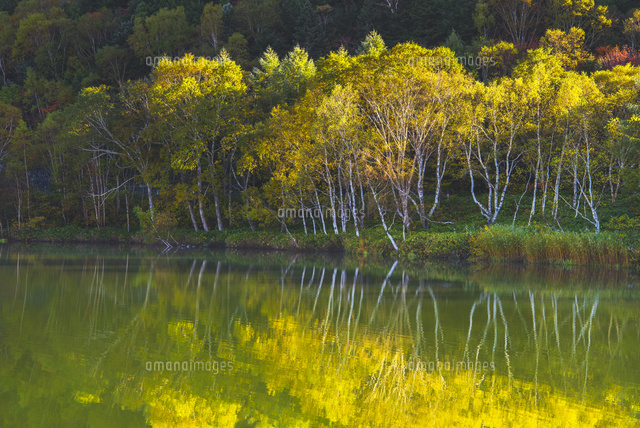 秋の木戸池
(c)YOSHITSUGU NISHIGAKI/SEBUN PHOTO