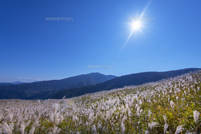 秋のハチ高原と氷ノ山
(c)YOSHITSUGU NISHIGAKI/SEBUN PHOTO