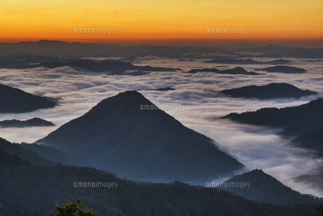 朝の大江山よりの雲海
(c)YOSHITSUGU NISHIGAKI/SEBUN PHOTO