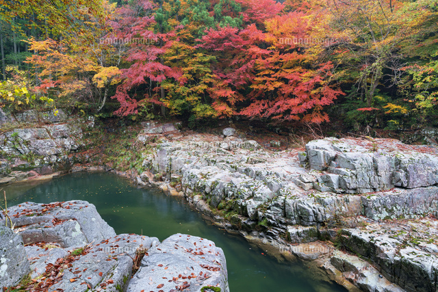 秋の奥津渓
(c)YOSHITSUGU NISHIGAKI/SEBUN PHOTO