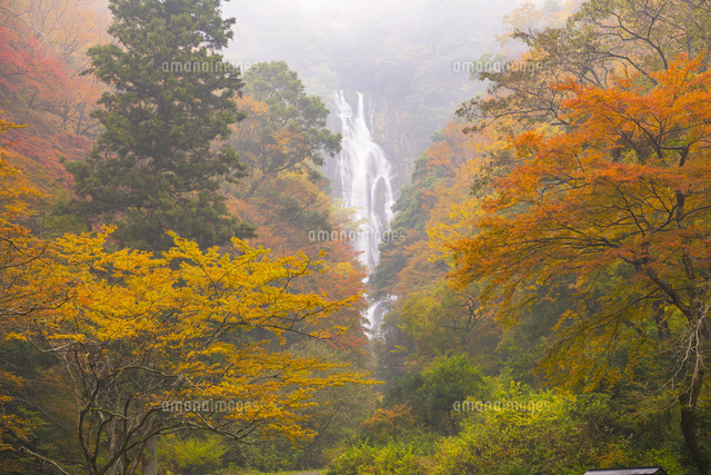 紅葉と神庭の滝
(c)YOSHITSUGU NISHIGAKI/SEBUN PHOTO
