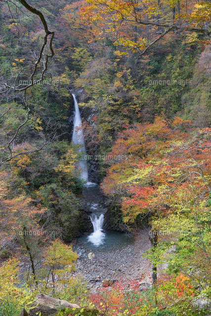 紅葉と大山滝
(c)YOSHITSUGU NISHIGAKI/SEBUN PHOTO