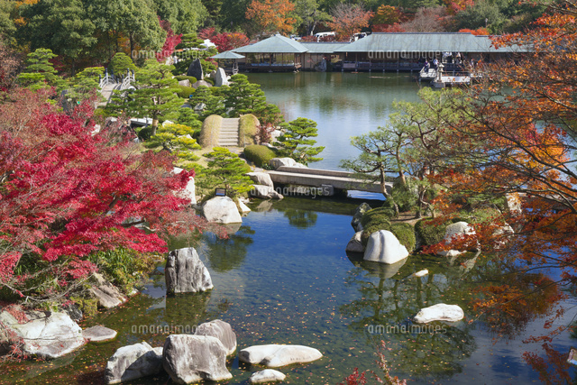 紅葉の三景園
(c)YOSHITSUGU NISHIGAKI/SEBUN PHOTO