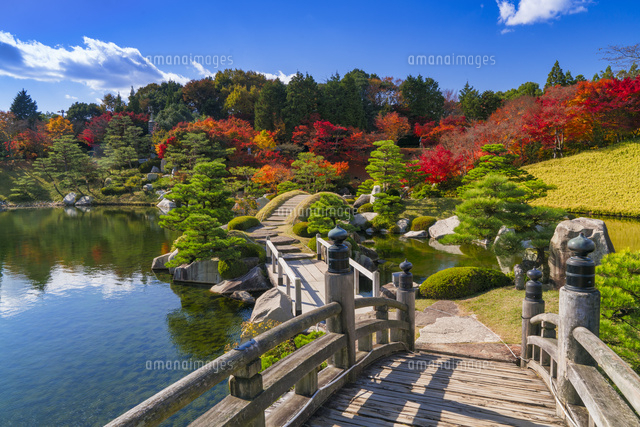 紅葉の三景園
(c)YOSHITSUGU NISHIGAKI/SEBUN PHOTO