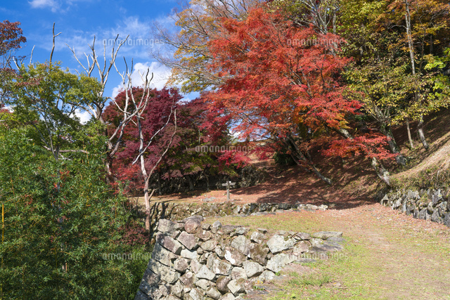 秋の津和野城跡
(c)YOSHITSUGU NISHIGAKI/SEBUN PHOTO