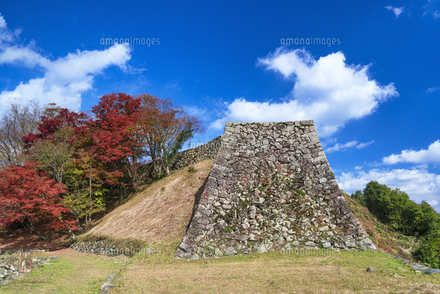 秋の津和野城跡
(c)YOSHITSUGU NISHIGAKI/SEBUN PHOTO