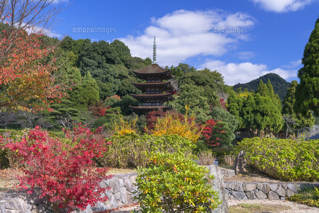 秋の瑠璃光寺五重塔
(c)YOSHITSUGU NISHIGAKI/SEBUN PHOTO