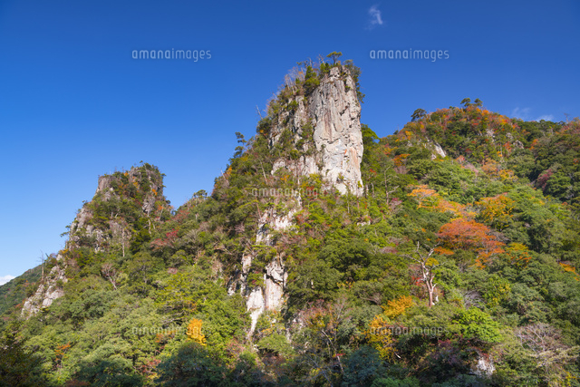 秋の長門峡
(c)YOSHITSUGU NISHIGAKI/SEBUN PHOTO