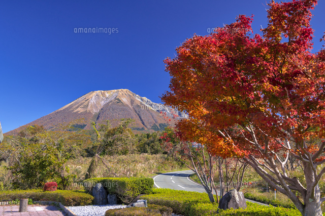 紅葉と大山
(c)YOSHITSUGU NISHIGAKI/SEBUN PHOTO