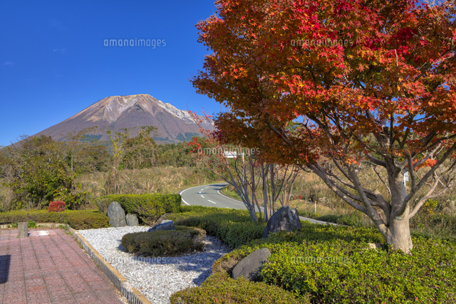 紅葉と大山
(c)YOSHITSUGU NISHIGAKI/SEBUN PHOTO
