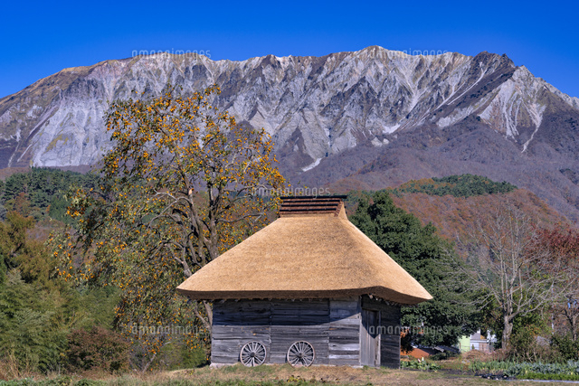 秋の茅葺きと大山
(c)YOSHITSUGU NISHIGAKI/SEBUN PHOTO
