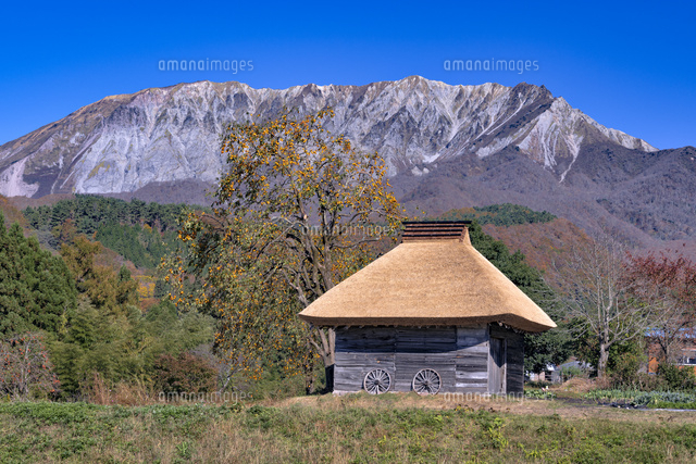 秋の茅葺きと大山
(c)YOSHITSUGU NISHIGAKI/SEBUN PHOTO