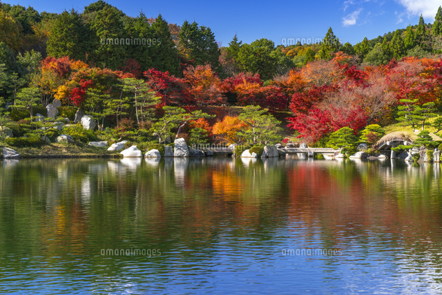 紅葉の三景園
(c)YOSHITSUGU NISHIGAKI/SEBUN PHOTO